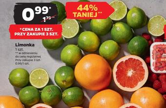 Netto Limonka oferta
