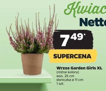 Netto Wrzos garden girls xl oferta