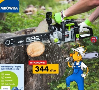 Mrówka Pilarka spalinowa nac oferta