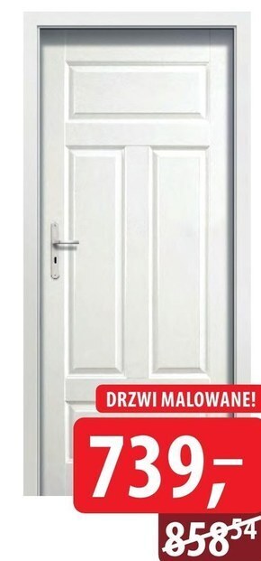 DDD Skrzydło drzwiowe pol-skone oferta