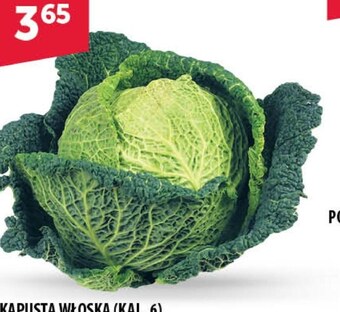 Eurocash Cash & Carry Kapusta oferta
