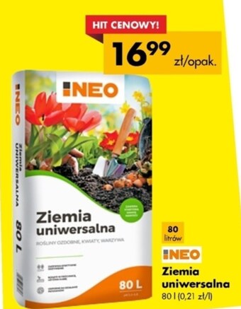Mrówka Ziemia oferta