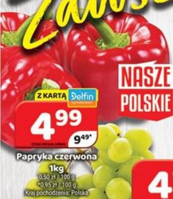 Delfin Papryka czerwona 1kg oferta