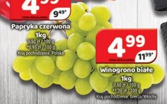 Delfin Winogrono białe 1kg oferta