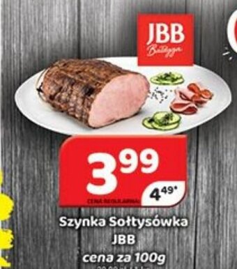 Delfin Szynka Sołtysówka JBB 100g oferta