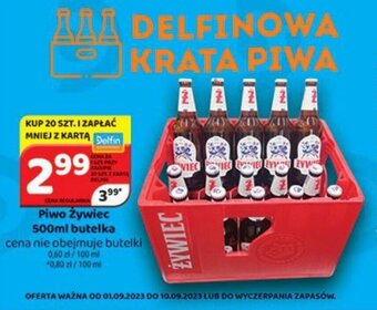 Delfin Piwo Żywiec 500ml butelka oferta