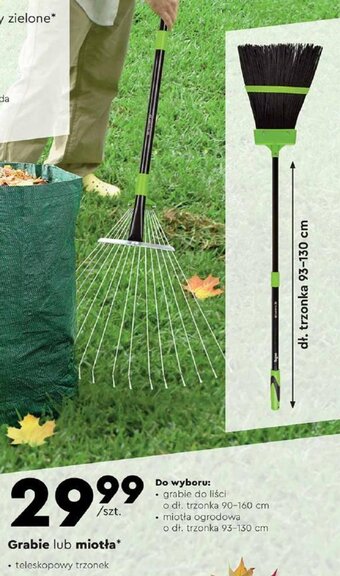 Biedronka gardenic Grabie lub miotła oferta