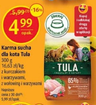 Delikatesy Centrum Karma sucha dla kota Tula 300 g oferta
