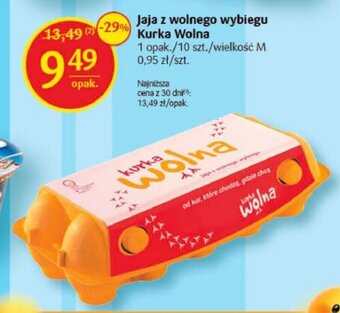 Delikatesy Centrum Jaja z wolnego wybiegu Kurka Wolna 10 szt. oferta