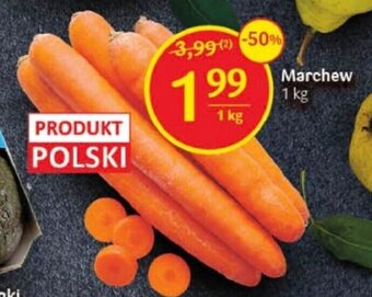 Delikatesy Centrum Marchew 1 kg oferta