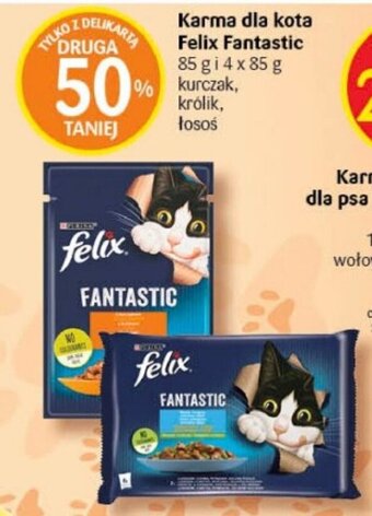 Delikatesy Centrum Karma dla kota Felix Fantastic 85 g oferta