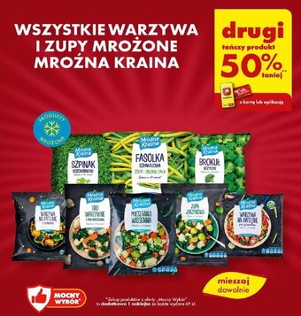 Biedronka WSZYSTKIE WARZYWA I ZUPY MROŻONE MROŹNA KRAINA oferta