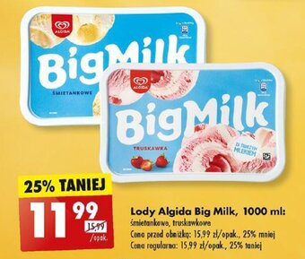 Biedronka Lody Algida Big Milk 1000 ml oferta