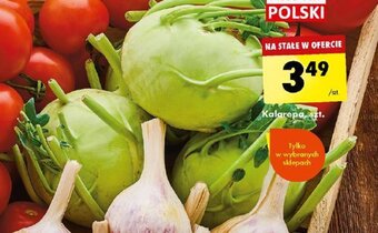 Biedronka Kalarepa szt. oferta
