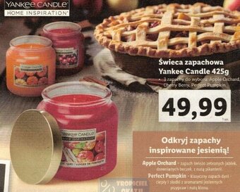 Lidl Świeca zapachowa Yankee Candle 425g oferta