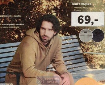 Lidl Bluza męska oferta