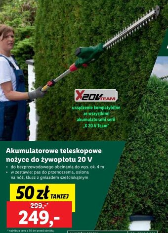 Lidl PARKSIDE Akumulatorowe teleskopowe nożyce do żywopłotu 20 V oferta