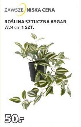 JYSK ROŚLINA SZTUCZNA ASGAR oferta