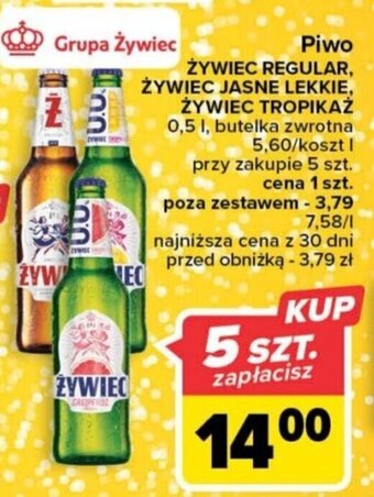 Carrefour Grupa Żywiec Piwo 0,5l 5szt. oferta