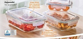 Biedronka Pojemniki na żywność smukee oferta