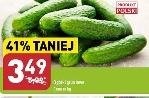 ALDI Ogórek oferta