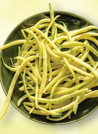 Topaz Fasolka szparagowa oferta