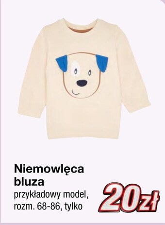 KiK Bluza niemowlęca oferta