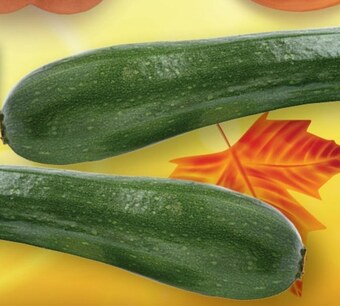 Topaz Cukinia oferta