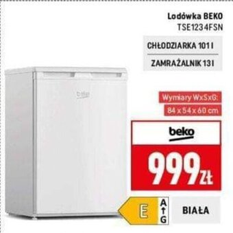 Neopunkt Lodówka BEKO TSE1234FSN oferta