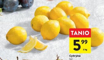 Intermarche Cytryna 1kg oferta