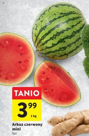 Intermarche Arbuz czerwony mini luz 1kg oferta