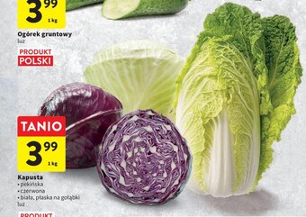 Intermarche Kapusta 1kg oferta