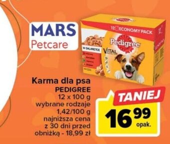 Carrefour Karma dla psa PEDIGREE 12 x 100 g oferta