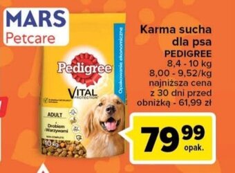 Carrefour Karma sucha dla psa PEDIGREE 8,4-10 kg oferta
