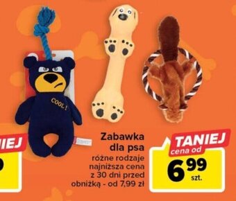 Carrefour Zabawka dla psa oferta
