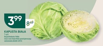 Chata Polska KAPUSTA BIAŁA 1 szt. oferta