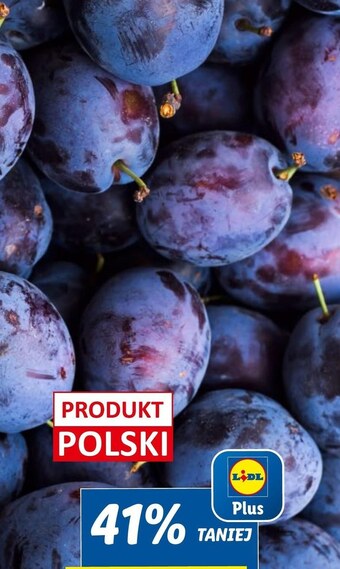 Lidl Śliwki oferta