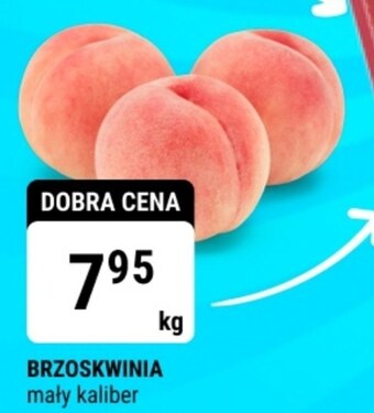 bi1 Brzoskwinia oferta