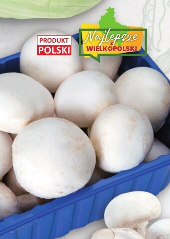 Twój Market Pieczarki oferta