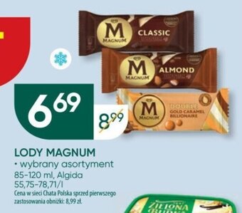 Chata Polska Algida LODY MAGNUM 85-120 ml oferta