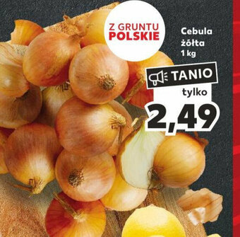 Kaufland Cebula żółta 1 kg oferta