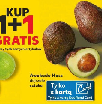 Kaufland Awokado Hass oferta