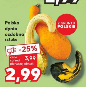 Kaufland Polska dynia ozdobna oferta