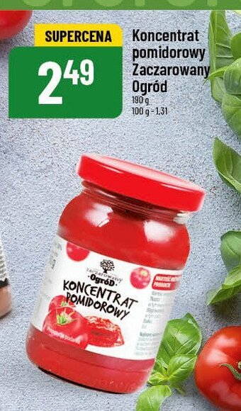 Polomarket Koncentrat pomidorowy oferta