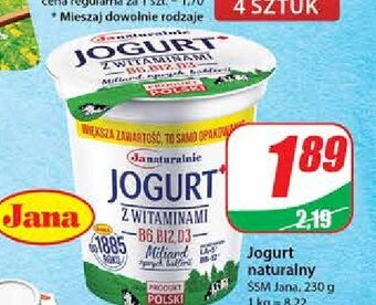 Dino Jogurt naturalny z witaminami oferta