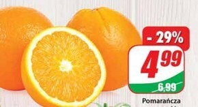 Dino Pomarańcza oferta