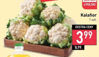 Stokrotka Kalafior oferta