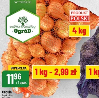 Polomarket Cebula oferta