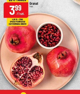 Polomarket Granat oferta
