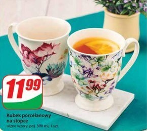 Dino Kubek oferta